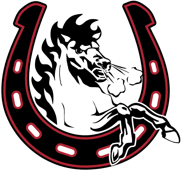 calgary stampeders 2003-pres alternate logo t shirt iron on transfers